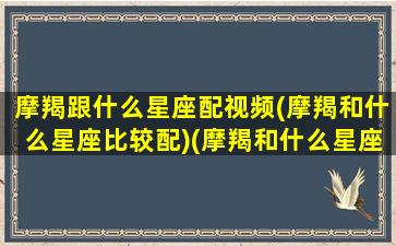 摩羯跟什么星座配视频(摩羯和什么星座比较配)(摩羯和什么星座最配座)