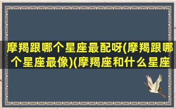 摩羯跟哪个星座最配呀(摩羯跟哪个星座最像)(摩羯座和什么星座最像)