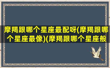 摩羯跟哪个星座最配呀(摩羯跟哪个星座最像)(摩羯跟哪个星座般配)