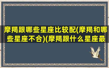 摩羯跟哪些星座比较配(摩羯和哪些星座不合)(摩羯跟什么星座最不合适)