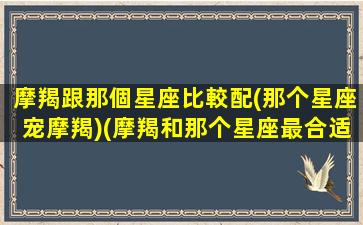 摩羯跟那個星座比較配(那个星座宠摩羯)(摩羯和那个星座最合适)