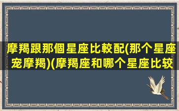 摩羯跟那個星座比較配(那个星座宠摩羯)(摩羯座和哪个星座比较搭)