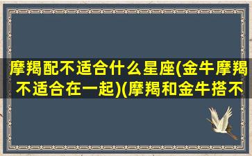 摩羯配不适合什么星座(金牛摩羯不适合在一起)(摩羯和金牛搭不搭)