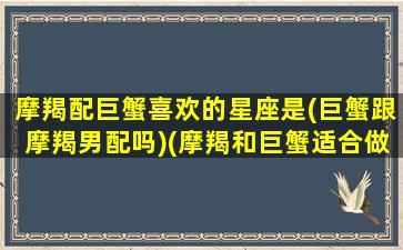 摩羯配巨蟹喜欢的星座是(巨蟹跟摩羯男配吗)(摩羯和巨蟹适合做朋友吗)