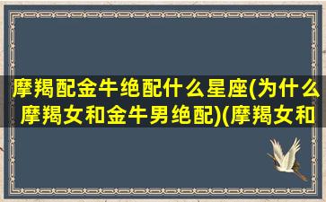 摩羯配金牛绝配什么星座(为什么摩羯女和金牛男绝配)(摩羯女和金牛里能不能成为情侣)