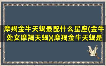 摩羯金牛天蝎最配什么星座(金牛处女摩羯天蝎)(摩羯金牛天蝎是最强的三个星座)