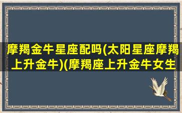 摩羯金牛星座配吗(太阳星座摩羯上升金牛)(摩羯座上升金牛女生性格)