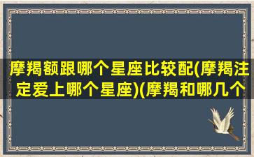 摩羯额跟哪个星座比较配(摩羯注定爱上哪个星座)(摩羯和哪几个星座比较合得来)