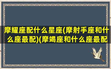 摩耀座配什么星座(摩射手座和什么座最配)(摩竭座和什么座最配对)