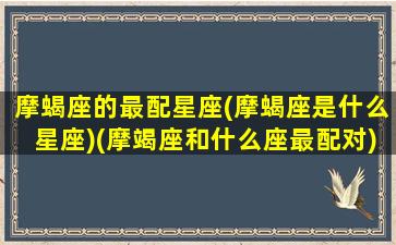 摩蝎座的最配星座(摩蝎座是什么星座)(摩竭座和什么座最配对)