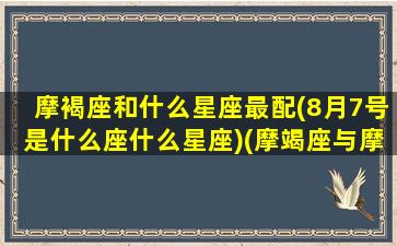 摩褐座和什么星座最配(8月7号是什么座什么星座)(摩竭座与摩竭座匹配吗)