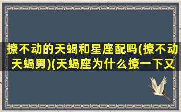 撩不动的天蝎和星座配吗(撩不动天蝎男)(天蝎座为什么撩一下又不撩了)