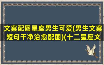 文案配图星座男生可爱(男生文案短句干净治愈配图)(十二星座文案短句)