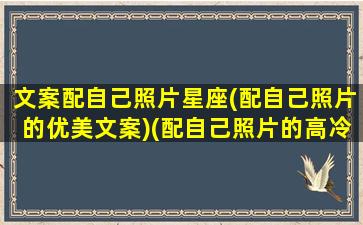 文案配自己照片星座(配自己照片的优美文案)(配自己照片的高冷说说)