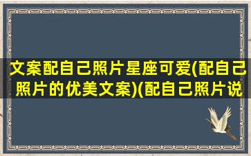 文案配自己照片星座可爱(配自己照片的优美文案)(配自己照片说说高冷的句子)