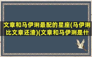 文章和马伊琍最配的星座(马伊琍比文章还渣)(文章和马伊琍是什么星宿关系)