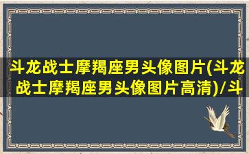 斗龙战士摩羯座男头像图片(斗龙战士摩羯座男头像图片高清)/斗龙战士摩羯座男头像图片(斗龙战士摩羯座男头像图片高清)-我的网站