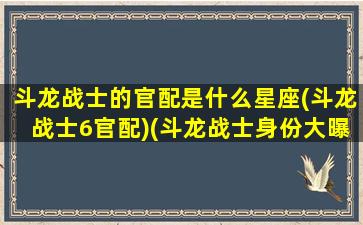 斗龙战士的官配是什么星座(斗龙战士6官配)(斗龙战士身份大曝光)