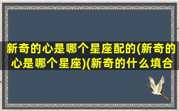 新奇的心是哪个星座配的(新奇的心是哪个星座)(新奇的什么填合适词语)