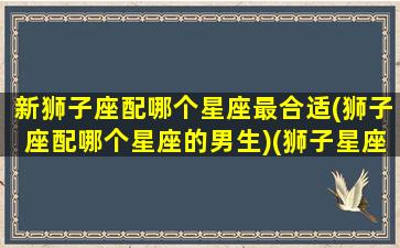 新狮子座配哪个星座最合适(狮子座配哪个星座的男生)(狮子星座配对哪个星座)