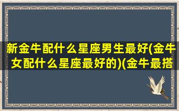 新金牛配什么星座男生最好(金牛女配什么星座最好的)(金牛最搭配的星座)