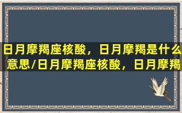 日月摩羯座核酸，日月摩羯是什么意思/日月摩羯座核酸，日月摩羯是什么意思-我的网站