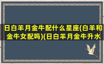 日白羊月金牛配什么星座(白羊和金牛女配吗)(日白羊月金牛升水瓶)