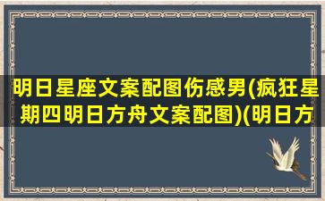 明日星座文案配图伤感男(疯狂星期四明日方舟文案配图)(明日方舟干员星座)