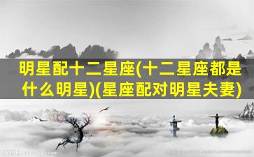 明星配十二星座(十二星座都是什么明星)(星座配对明星夫妻)