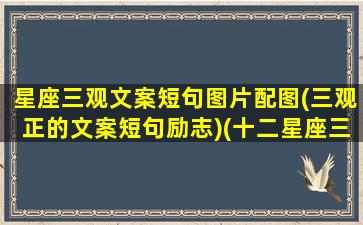 星座三观文案短句图片配图(三观正的文案短句励志)(十二星座三观一致)