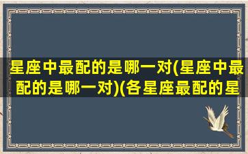 星座中最配的是哪一对(星座中最配的是哪一对)(各星座最配的星座)