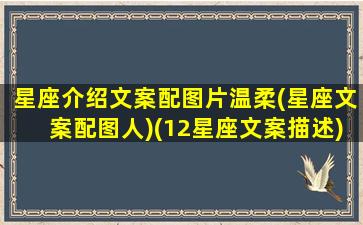 星座介绍文案配图片温柔(星座文案配图人)(12星座文案描述)