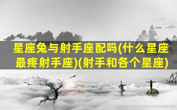 星座兔与射手座配吗(什么星座最疼射手座)(射手和各个星座)