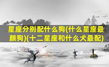 星座分别配什么狗(什么星座最颜狗)(十二星座和什么犬最配)