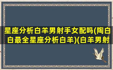 星座分析白羊男射手女配吗(陶白白最全星座分析白羊)(白羊男射手女配不配)