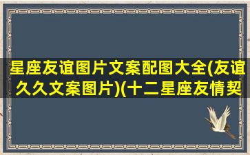 星座友谊图片文案配图大全(友谊久久文案图片)(十二星座友情契合度表)