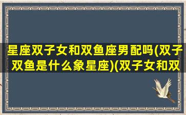 星座双子女和双鱼座男配吗(双子双鱼是什么象星座)(双子女和双鱼男座合适吗)