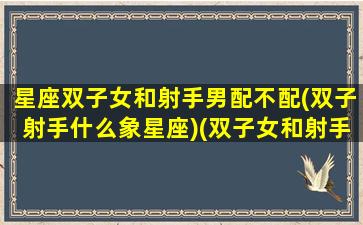 星座双子女和射手男配不配(双子射手什么象星座)(双子女和射手男怎么维持恋情)