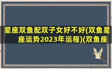 星座双鱼配双子女好不好(双鱼星座运势2023年运程)(双鱼座配对双子座)