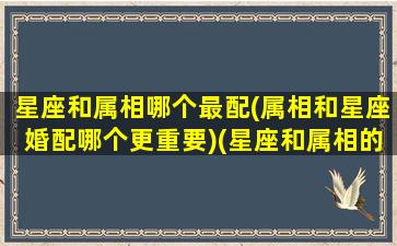 星座和属相哪个最配(属相和星座婚配哪个更重要)(星座和属相的对应关系)