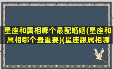 星座和属相哪个最配婚姻(星座和属相哪个最重要)(星座跟属相哪个更准)