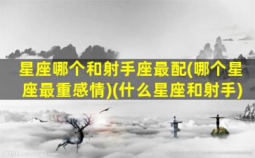 星座哪个和射手座最配(哪个星座最重感情)(什么星座和射手)