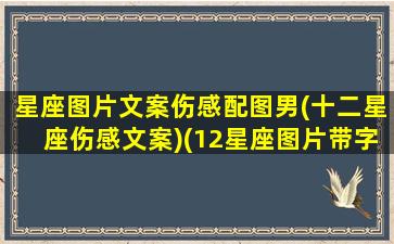 星座图片文案伤感配图男(十二星座伤感文案)(12星座图片带字)