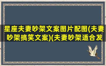 星座夫妻吵架文案图片配图(夫妻吵架搞笑文案)(夫妻吵架适合发朋友圈的图片)