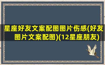 星座好友文案配图图片伤感(好友图片文案配图)(12星座朋友)