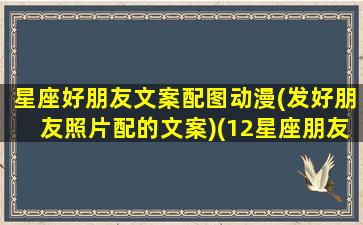 星座好朋友文案配图动漫(发好朋友照片配的文案)(12星座朋友)