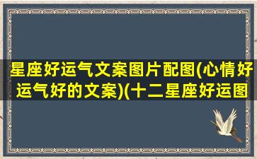 星座好运气文案图片配图(心情好运气好的文案)(十二星座好运图)