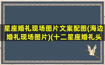 星座婚礼现场图片文案配图(海边婚礼现场图片)(十二星座婚礼头像)