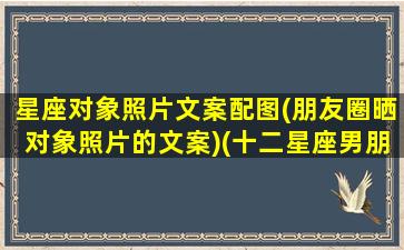 星座对象照片文案配图(朋友圈晒对象照片的文案)(十二星座男朋友的照片)