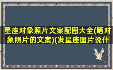 星座对象照片文案配图大全(晒对象照片的文案)(发星座图片说什么)